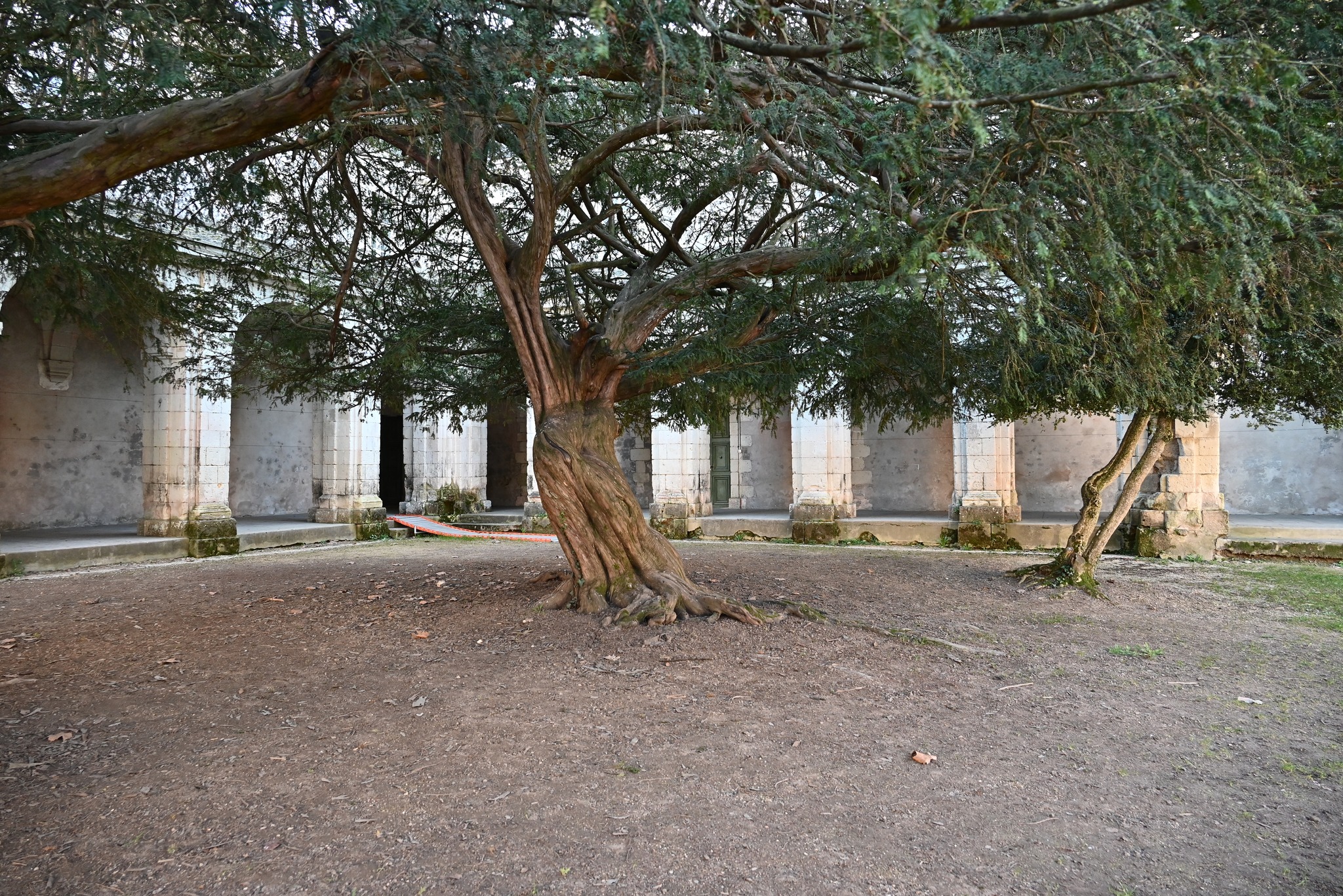 ArcadesPrieuré des Nobis - Cour exterieure