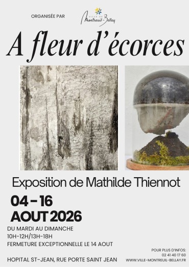 Saison d'exposition de la ville - Mathilde Thiennot
