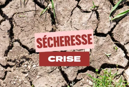Crise s&eacute;cheresse : restrictions en vigueur 