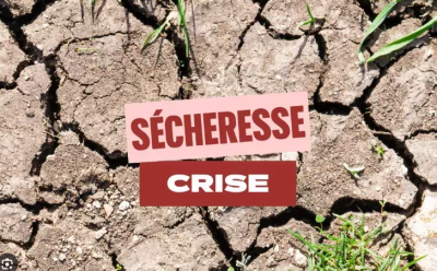 Crise s&eacute;cheresse : restrictions en vigueur 