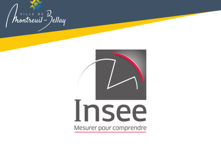 Enqu&ecirc;tes Insee en cours sur la commune