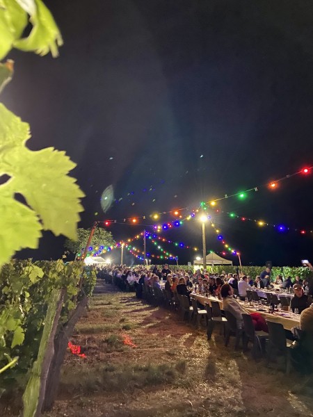 On d&icirc;ne en vigne