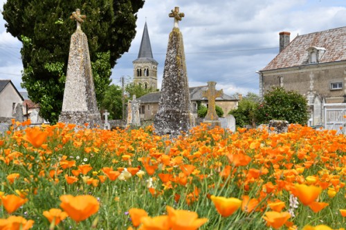 Cimeti&egrave;res